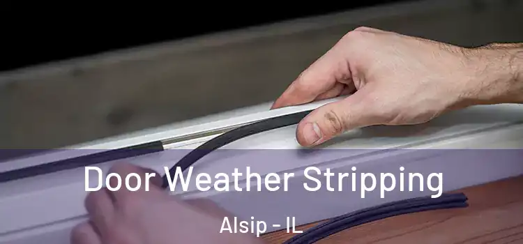 Door Weather Stripping Alsip - IL