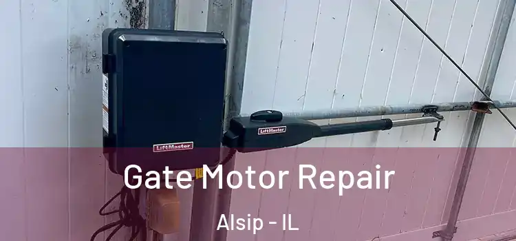 Gate Motor Repair Alsip - IL